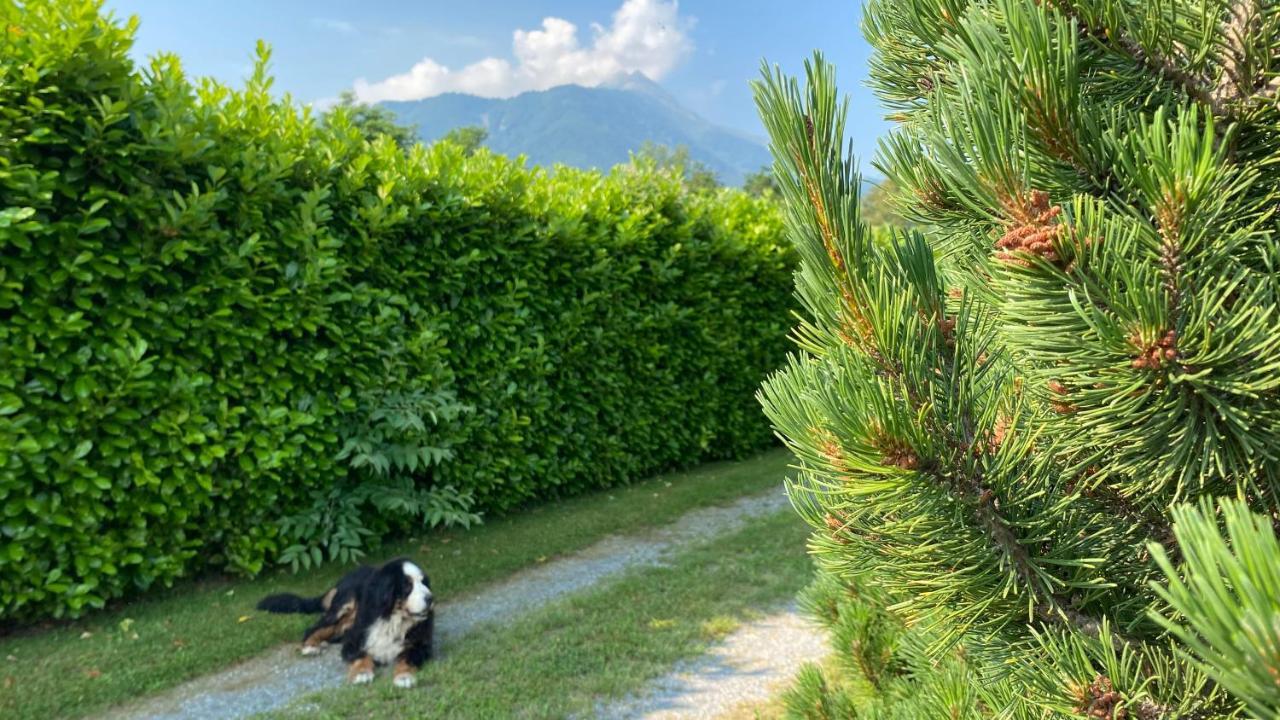Villa Giulia - Bisalta Peveragno المظهر الخارجي الصورة